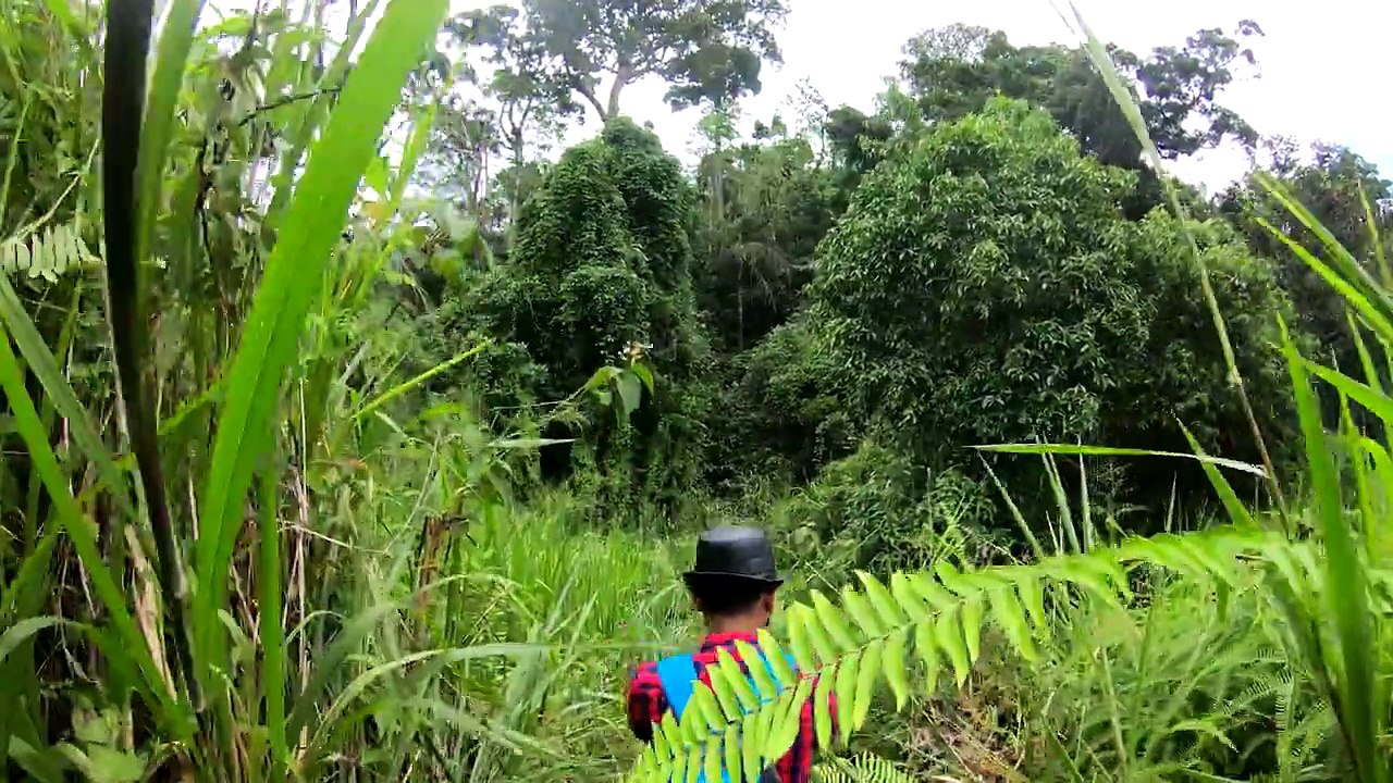 දෙනියාය මේ තරම්ම ලස්සනයි සුන්දරයි කියලා මම කවදාවත් හිතුවෙ නෑ. ඉස්සර හිටපු අය ...