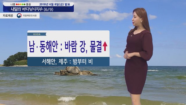 [내일의 바다낚시지수] 6월9일 대부분 해상 짙은 안개 남해안 동해안 강한 바람 높은 물결 / YTN