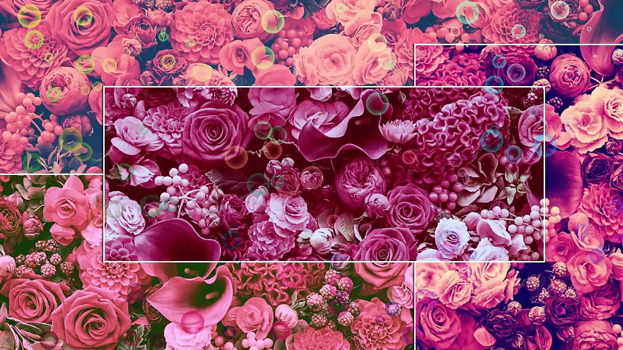 A história de Luciana e Rodrigo ( LUDRIGO ) - Parte 2