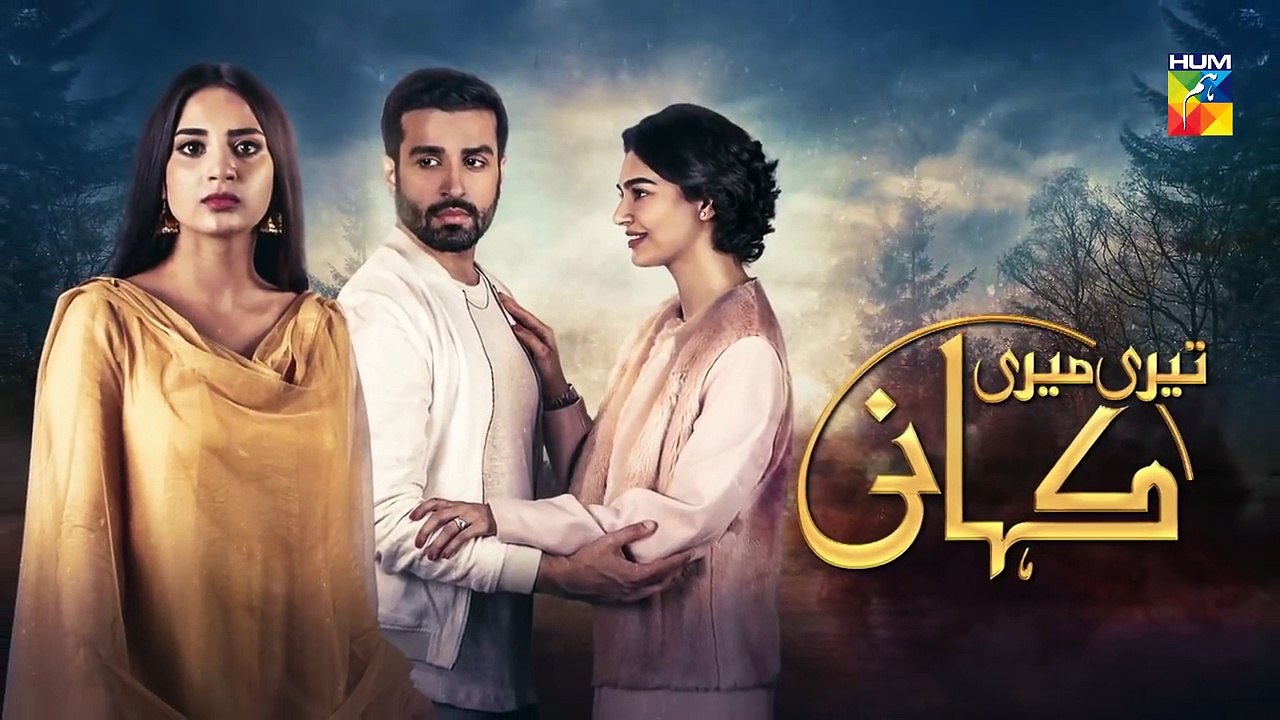 Teri Meri Kahani Episode @32 Promo HUM TV Drama_HD