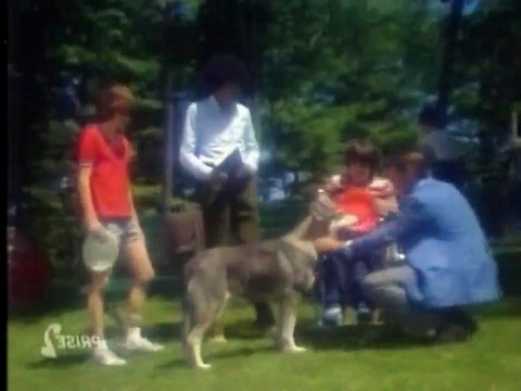 Le Vagabond S1 10 La Chaise Roulante