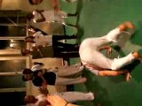Roda de capoeira