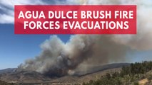 Agua Dulce Brush Fire Forces Evacuations