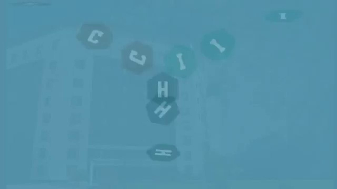 Chirurgie esthétique Tunisie : clinique internationale Hannibal