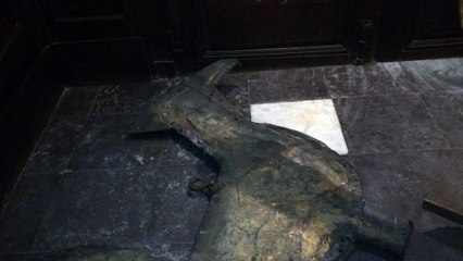 Le coq de la cathédrale Notre-Dame de Tournai