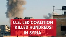 U.S. Led Coalition 'Killed hundreds' In Syria