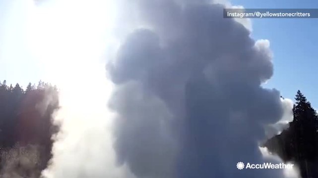 Yellowstone's Steamboat Geyser erupts for the eighth time