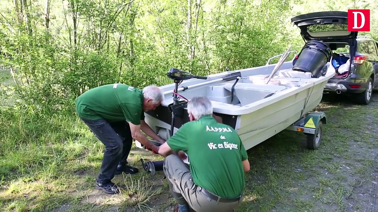 Un virus meurtrier s'attaque aux carpes du lac de l'Arrêt Darré