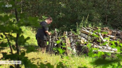 Grillkohle: Vom Baum zur Holzkohle  | Wie geht das? | Reportage | NDR
