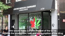 Canada's Senate passes bill to legalize weed