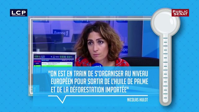 Check Point : Bientôt la fin du recours à l'huile de palme dans l'UE ?