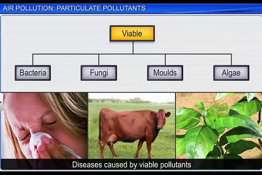 (2)CBSE Class 11 Chemistry, Environmental Chemistry – 2, Air Pollution Particulate Pollutants