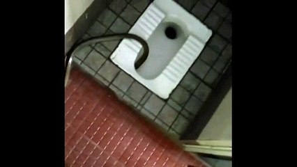 Dangerous Snake Found inside Toilet...!!!Beware always...!!!!