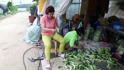 Esperanza e indiferencia cerca de la frontera entre las Coreas