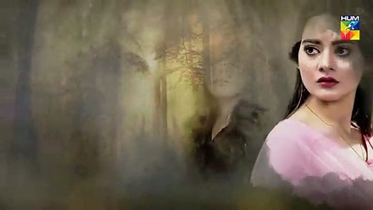 Parchayee Episode 25