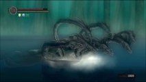[Dark Souls] [Run Priscilla - 09] L'éblouissant lac cendré
