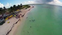 Unknowingly caught this on video. Keep your eyes on the kids in the water. :)Cow Wreck Beach #bvi #britishvirginislands #beaches #anegada