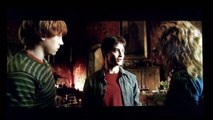 Harry Potter and the Half-Blood Prince- Harry Potter on felix felicis
