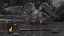 [Dark Souls] [Run Priscilla - 10] Le gardien d'Oolacile