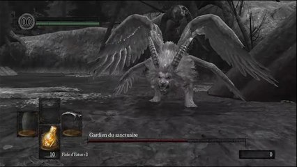 [Dark Souls] [Run Priscilla - 10] Le gardien d'Oolacile