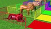 Aprender colores aprender formas w Granja y animales salvajes cambiar colores animación video para niños