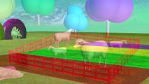 Aprender colores Aprender animales Nombre y sonido Animales jugar con pelotas de fútbol para niños