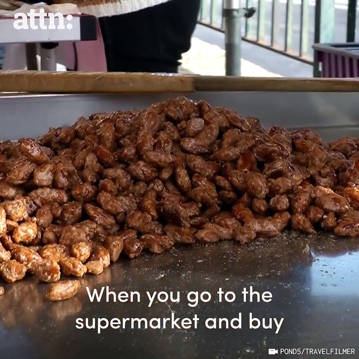 Almond Waste is Renewable