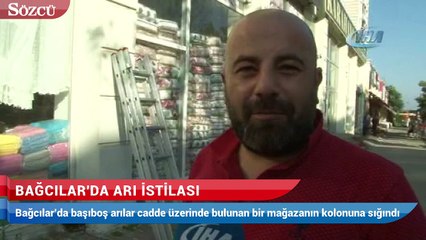 Bağcılar'da arı istilası