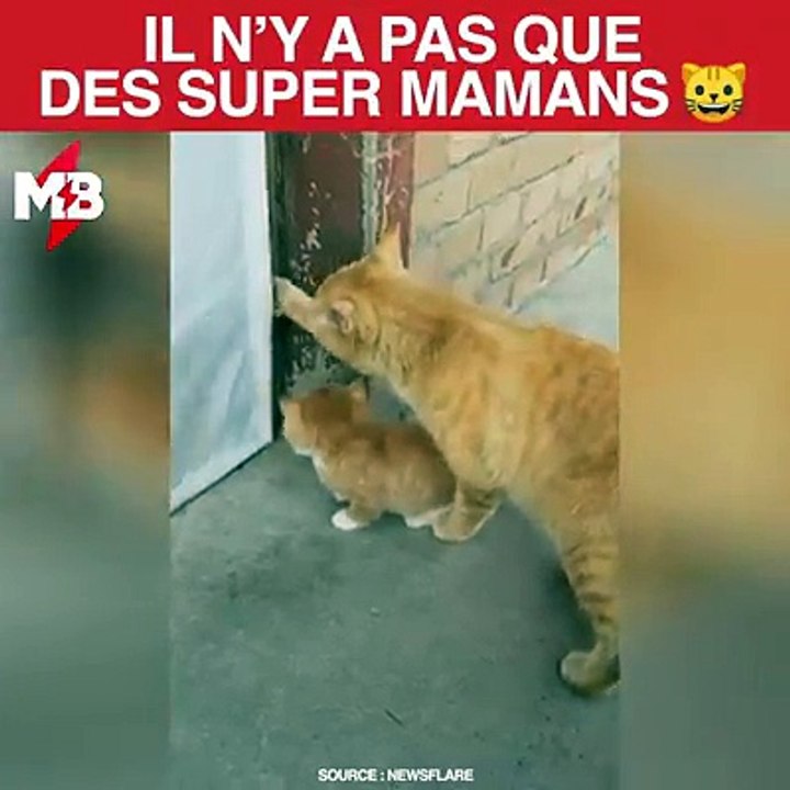 L'instinct maternel ? Connais pas via Newsflare