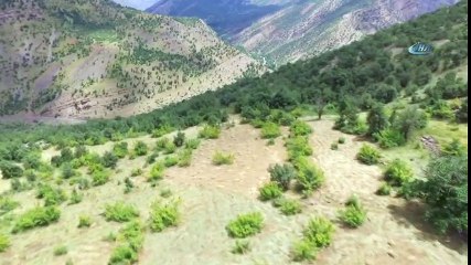 30 Yıl Önce Terör Örgütü Yüzünden Terk Ettikleri Arazilerini Ekip Biçmeye Başladılar...