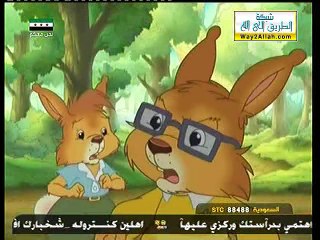 الحلقة 8 (حكايات الأرانب)