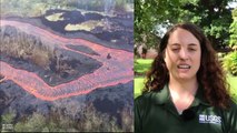Hawaii volcano Lava fountains SURGE out Kilauea crater & destroyed at least 600 homes