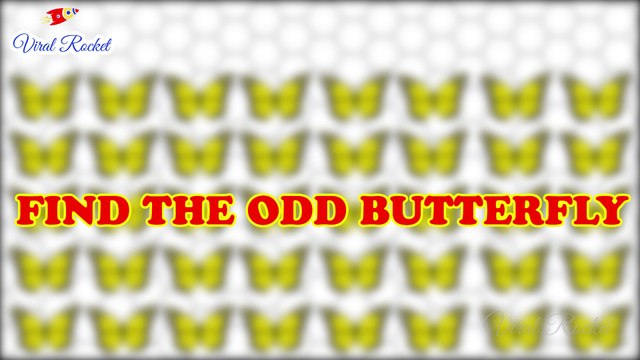 Puzzles for Genius Minds : Find the Odd One Out || Puzzle Time # 1 || Tricky Puzzles, Puzzle Games || Viral Rocket