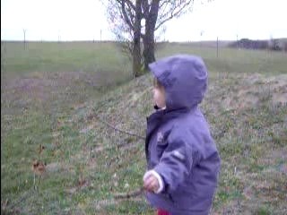 Mais ou sont les canards