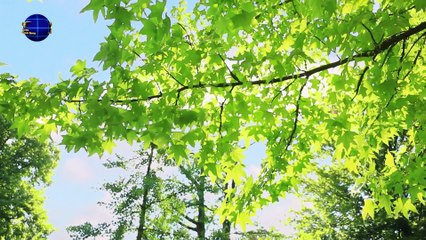 Восточная Молния | Христианские стихи «Две тысячи лет ожидания» Встреча со Христом