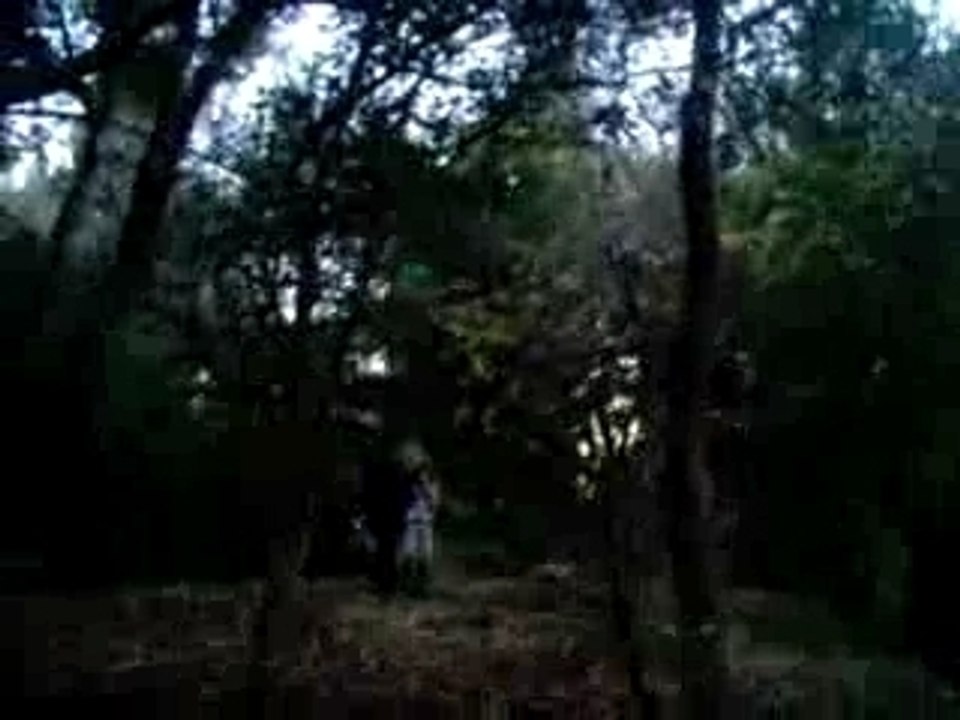 la forêt du centre équestre