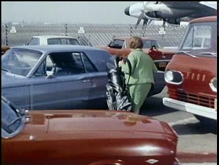 HAZEL · S04 E16 · Champagne Tony