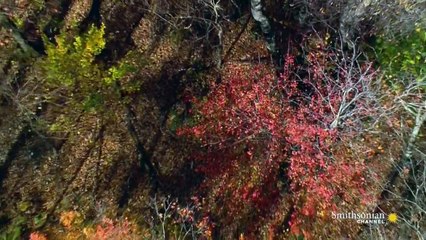 Aerial America - S01 - E04 - Connecticut