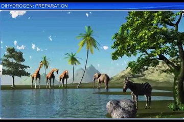 (1)CBSE Class 11 Chemistry, Hydrogen – 1, Dihyrogen   Preparation