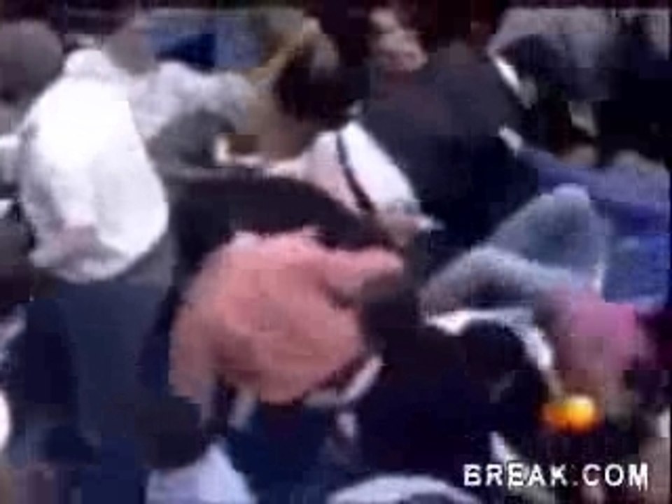 Toro dans les gradins