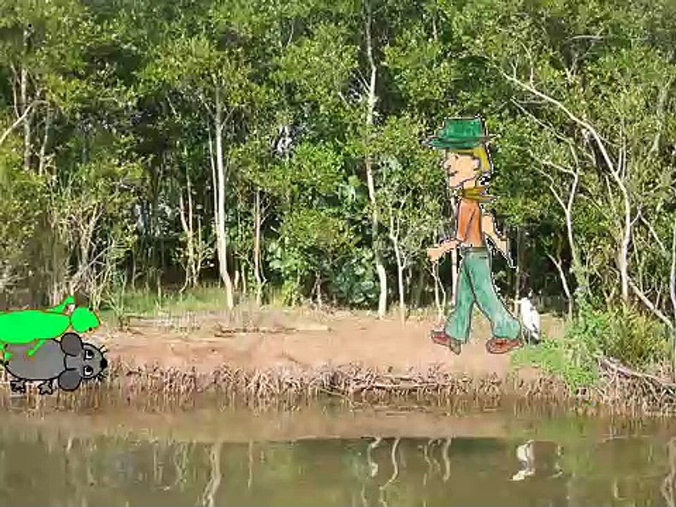 Protection de la forêt