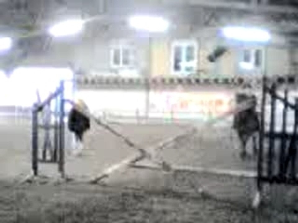 maxime et coco