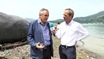 Hautes-Alpes : le maire de Savines-le-Lac heureux de la réussite du buzz du cachalot