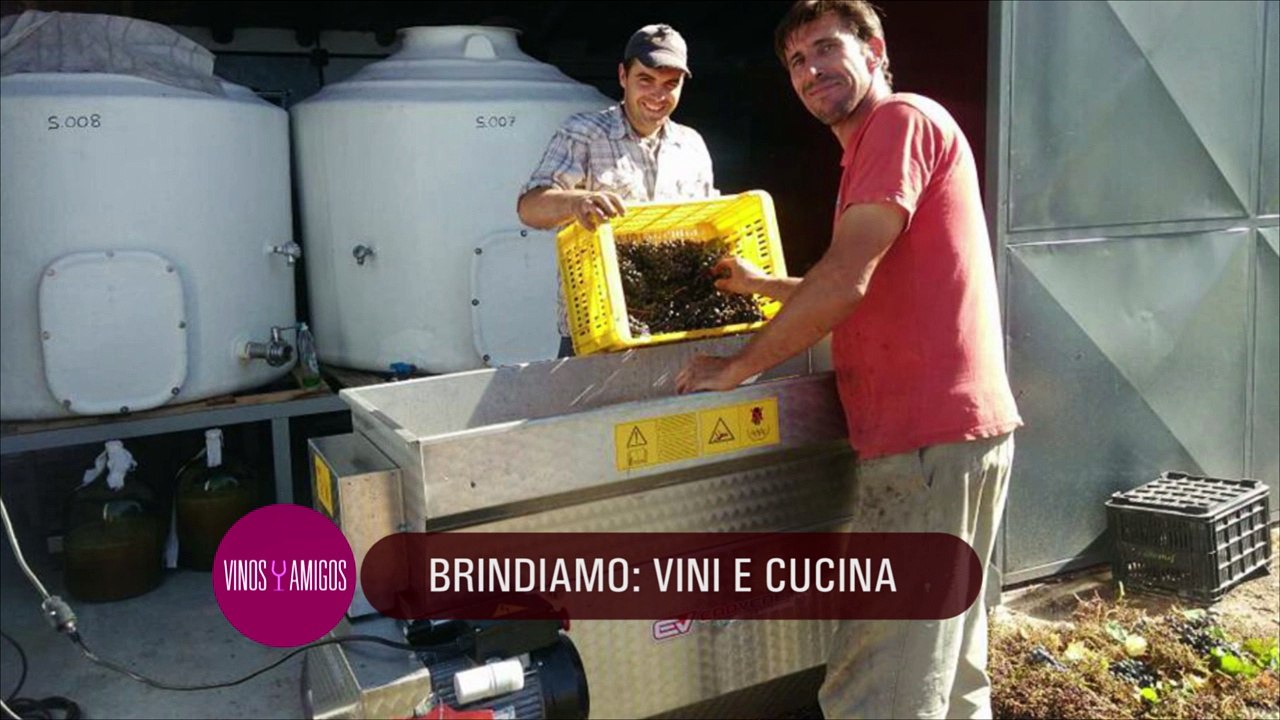 Vinos y Amigos Programa 197 Bloque 2