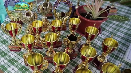 Alagang Magaling S9 Ep12 - Cagayan Valley Racing Pigeon Club