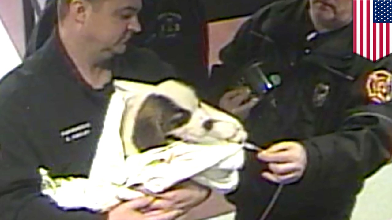 Videos show police rescuing puppy, dog and owner