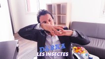TPMP : Les insectes, la Coupe du monde, le métro… le darka/rassrah de Willy Rovelli (Exclu Vidéo)