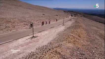 Nîmes et la Provence en fête - Échappées belles