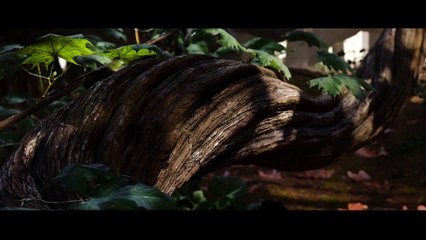 Halo Infinite - E3 2018 Trailer