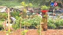 VMC transformed dumping site into urban forest, Replaced solid waste with plants and trees,Vadodara
